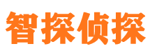 眉山市婚外情调查